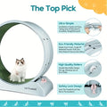 Pet Fitness Wheel - Interactive Treadmill for Cats and Dogs Grey